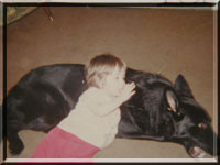 Distilli_German Shepherd_breeder